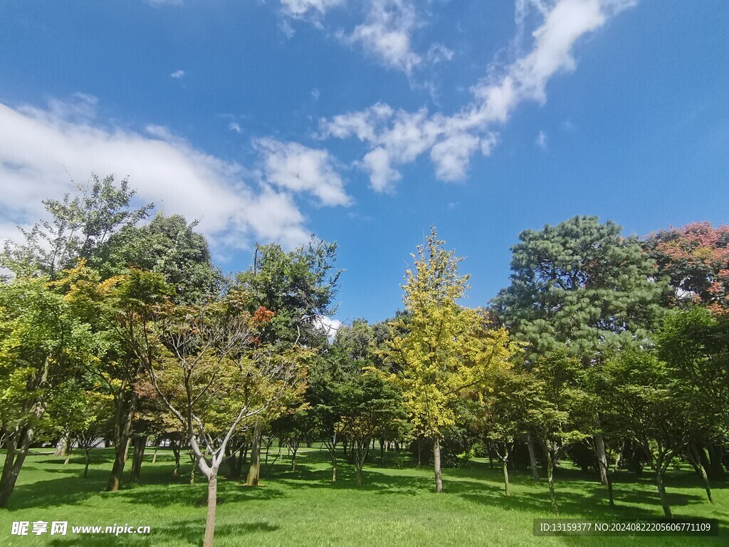 蓝天 云彩 草地