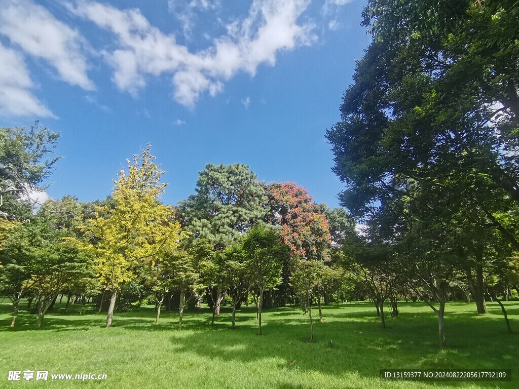 蓝天 云彩 草地