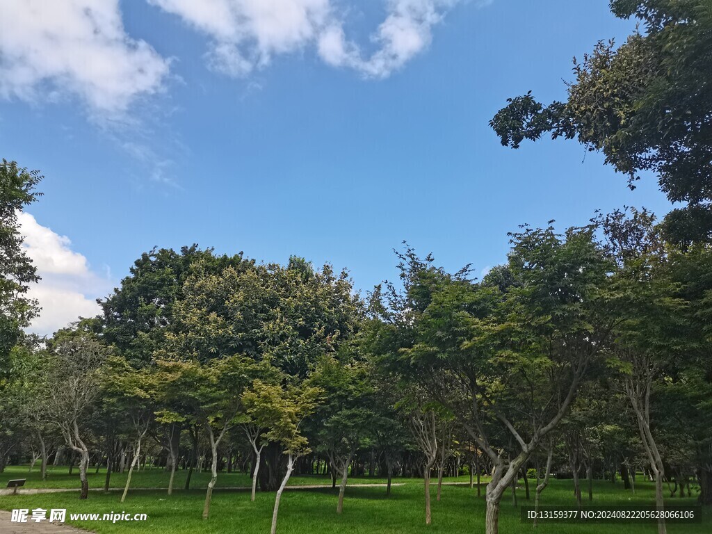 蓝天 云彩 草地