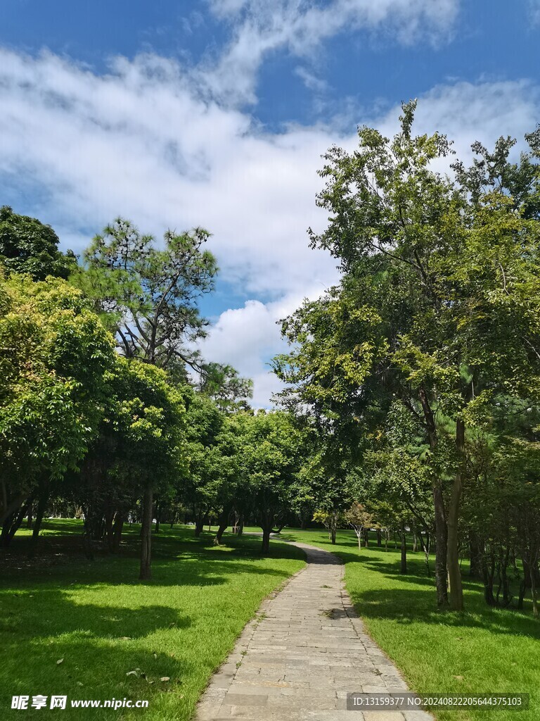 蓝天 云彩 草地