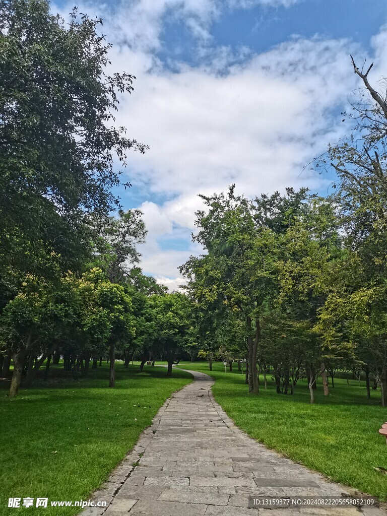 蓝天 云彩 草地