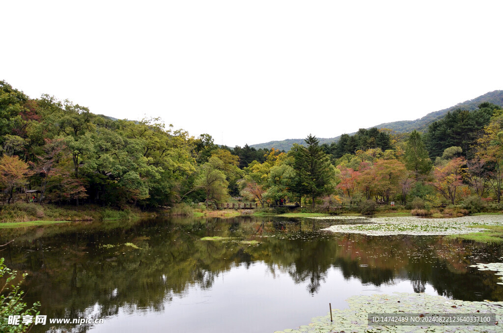 湖泊
