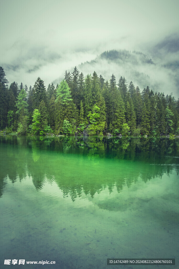 平静的湖面