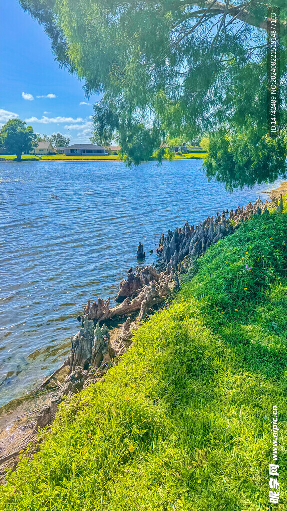  湖泊风景