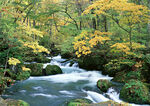 山间溪流