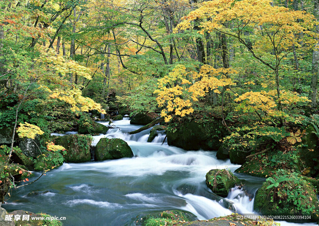 山间溪流