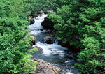 山间溪流