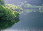 青山绿水