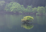 青山绿水
