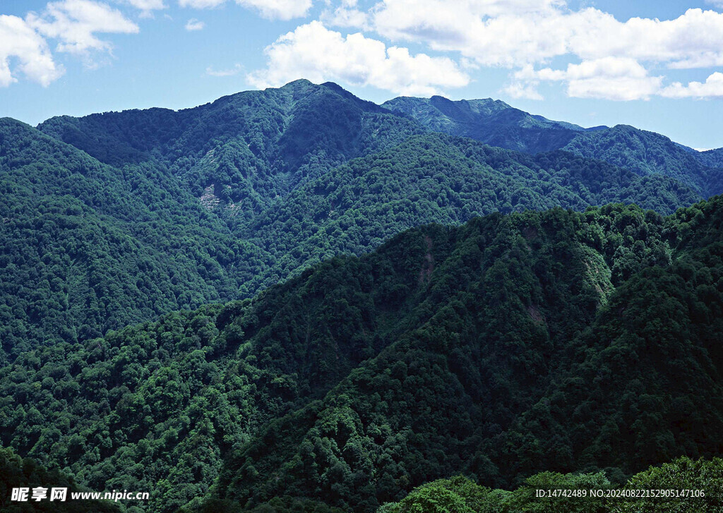 青山山峰
