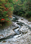 青山绿水
