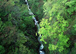 青山绿水
