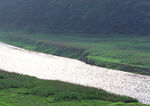 青山绿水