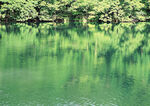 青山绿水
