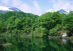 青山绿水