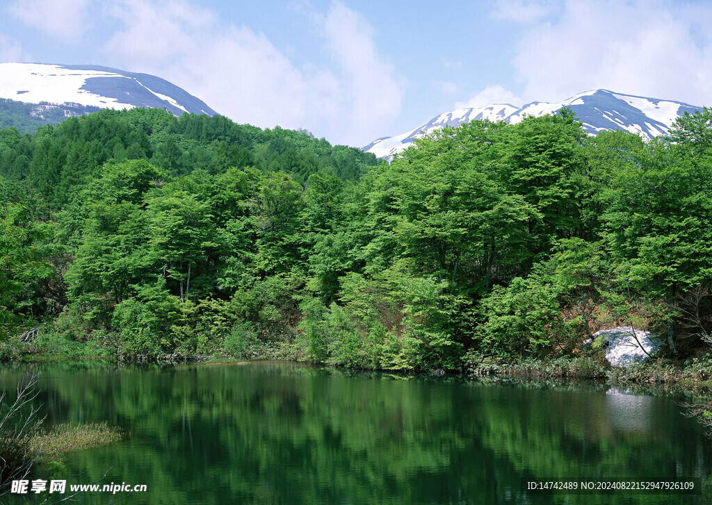 青山绿水