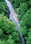 青山绿水