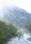 青山绿水