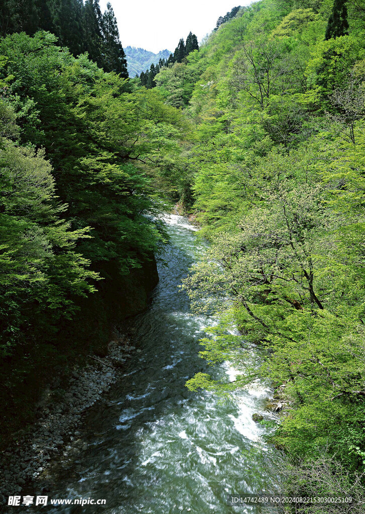 山间流水