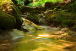 山间流水
