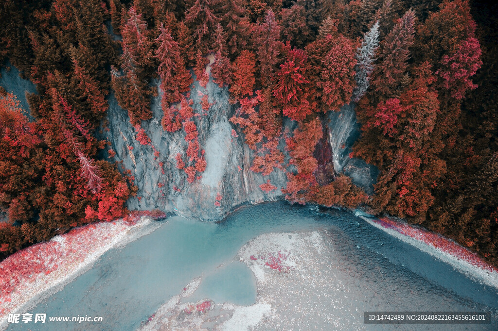 秋季红色树林山水