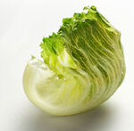 新鲜生菜