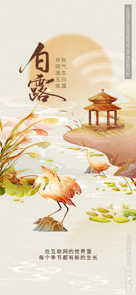 白露