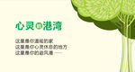 心灵的港湾心理健康展板
