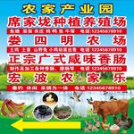 农场养殖场香肠场农家指引海报 