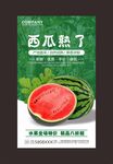 西瓜海报