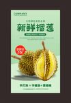 榴莲海报