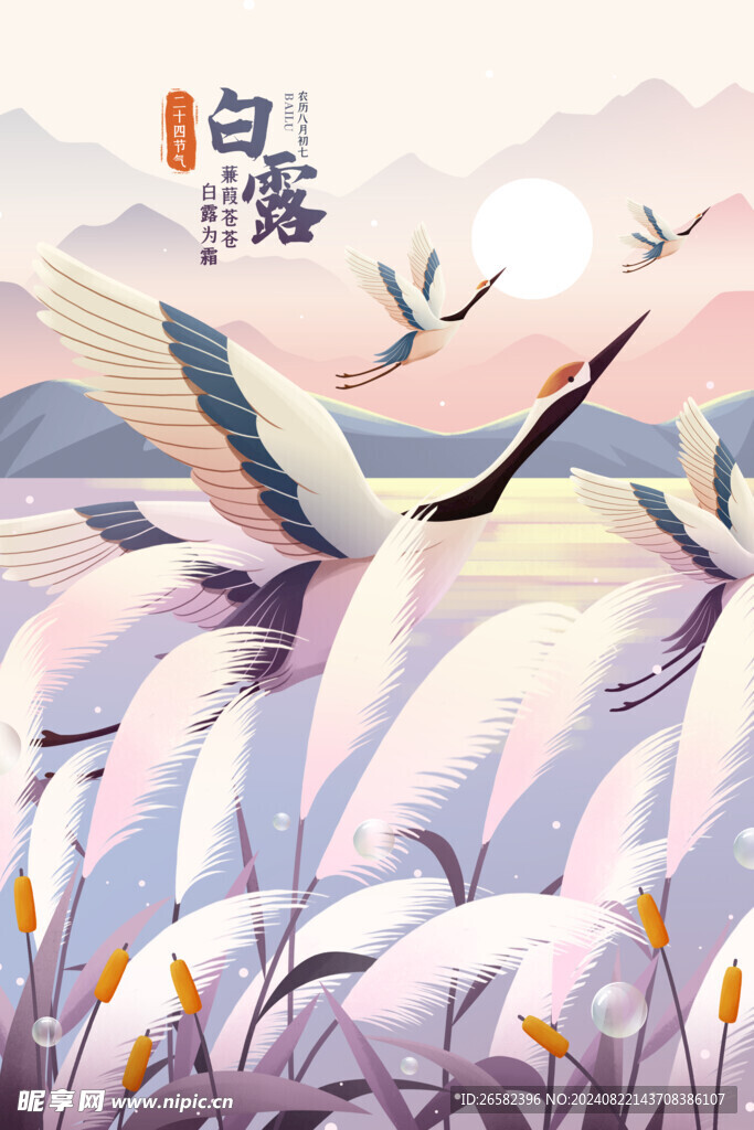 白露