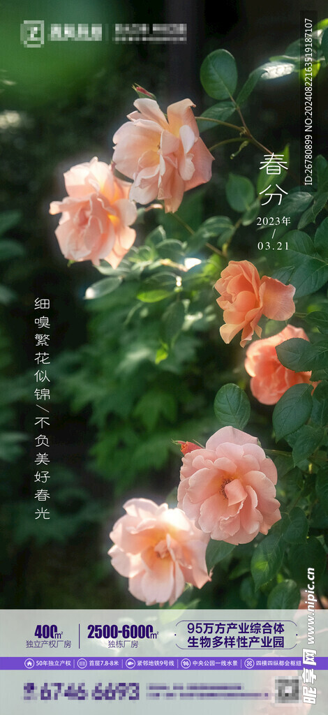 春分刷屏