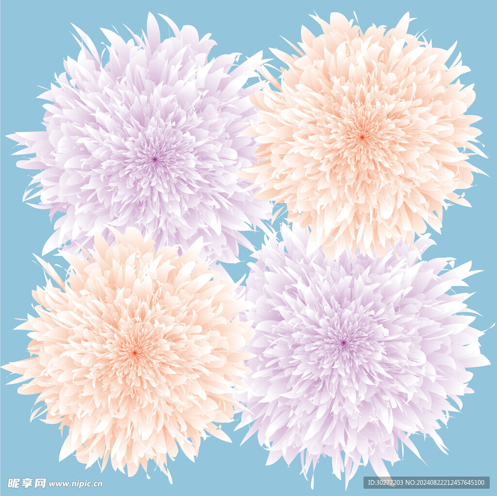 花开富贵