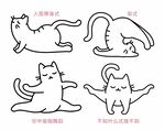 瑜珈猫