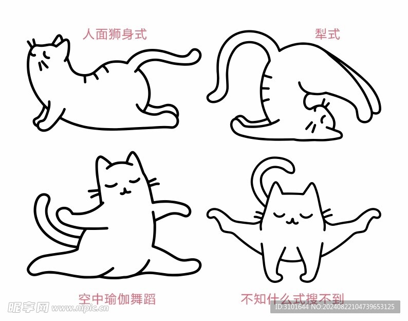 瑜珈猫