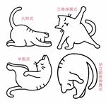 瑜珈猫