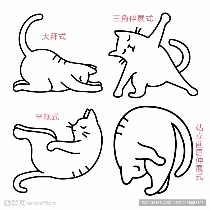 瑜珈猫