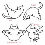 瑜珈猫