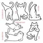 瑜珈猫