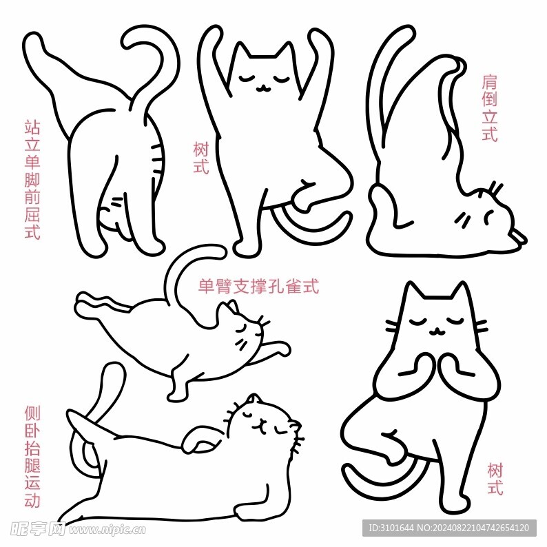 瑜珈猫