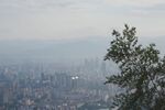 城市