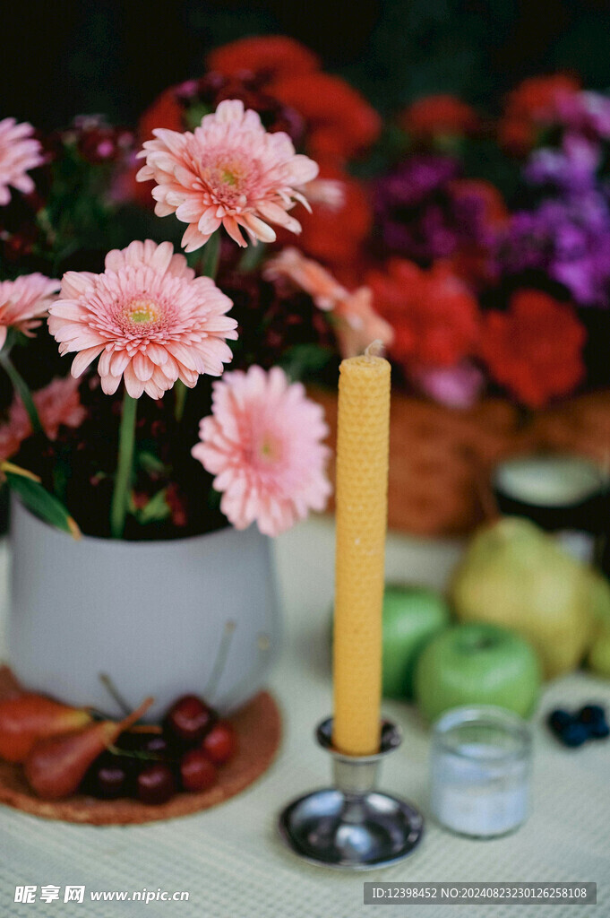 非洲菊花朵