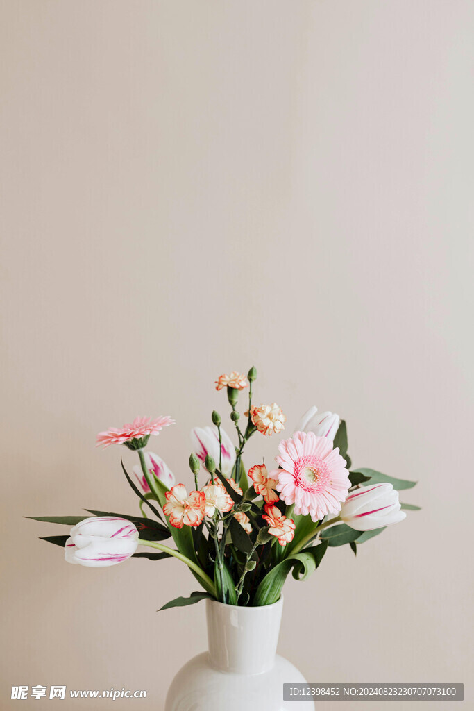 非洲菊