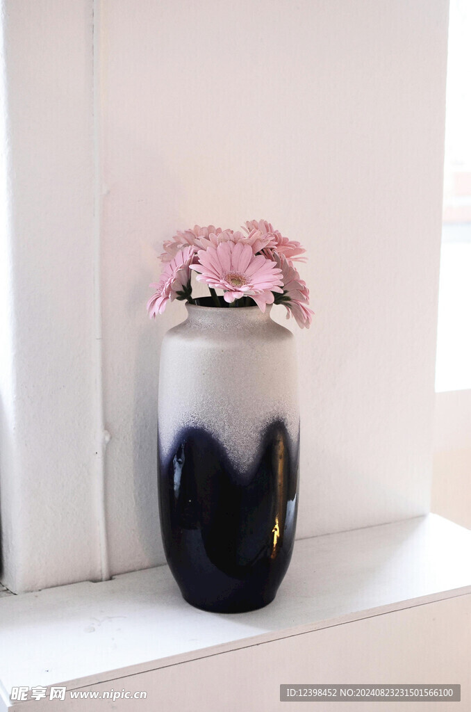 非洲菊