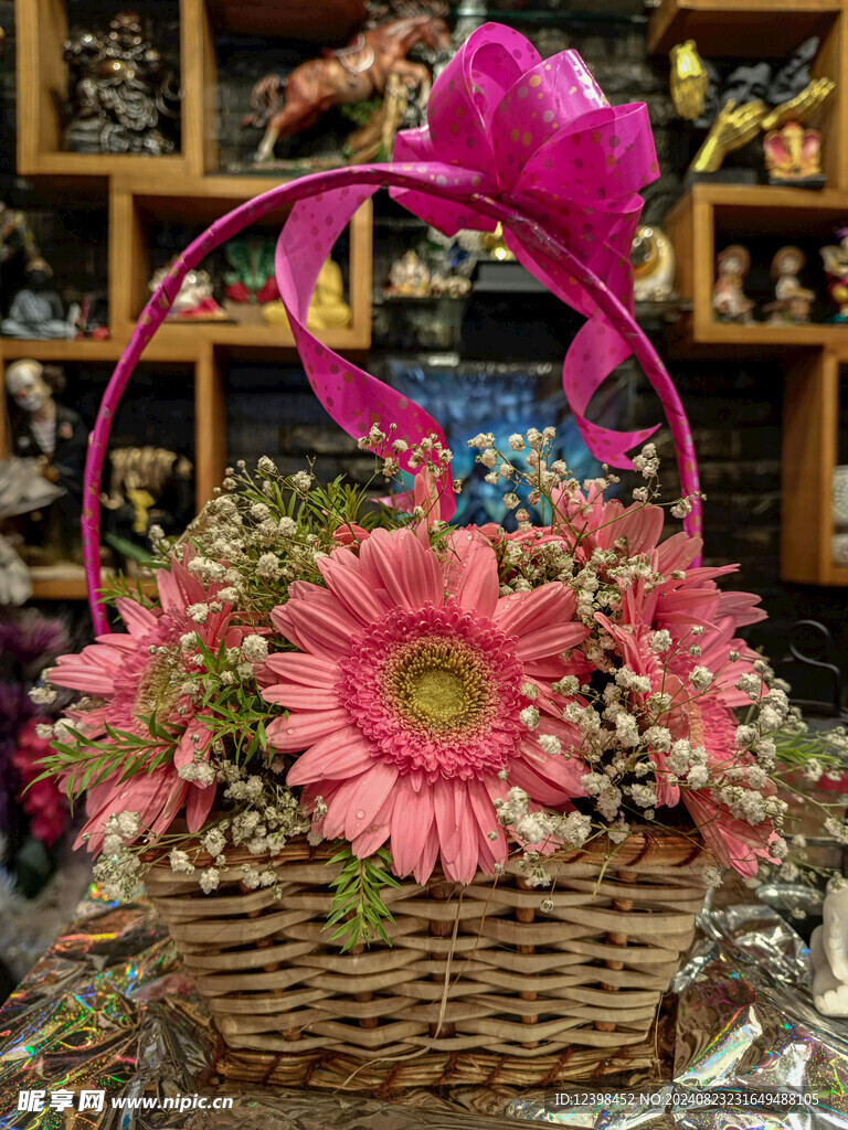 非洲菊