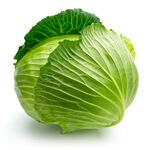 卷心菜