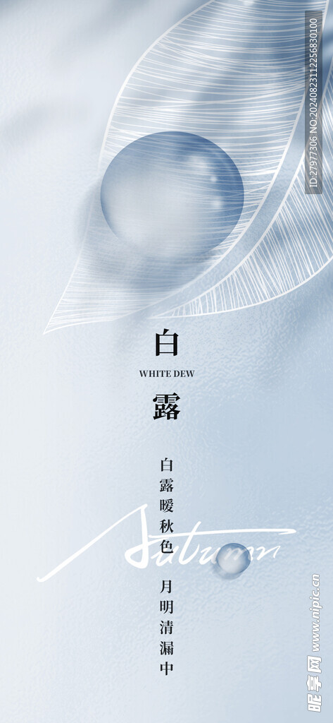 白露海报