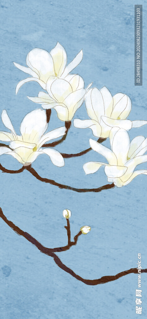 玉兰花手机壁纸