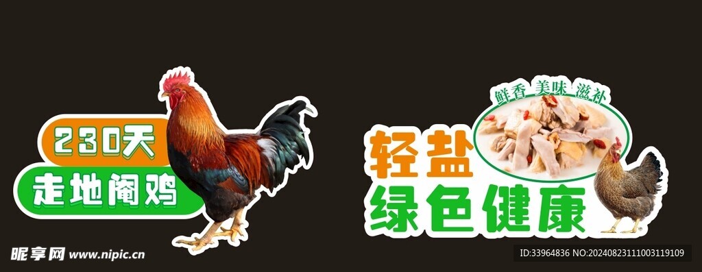 猪肚鸡手举牌